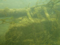12 P1060485