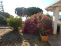 Foto 11.06.17  17 24 33