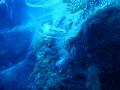 Foto 13.06.19  11 03 22