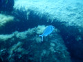 Foto 13.06.19  11 18 04