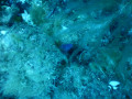 Foto 13.06.19  15 57 31