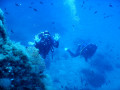 Foto 14.06.17  11 12 36