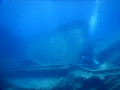 Foto 15.06.17  12 42 16