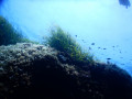Foto 15.06.17  13 00 53