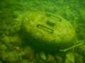 IMG 0536
