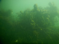 IMG 0551