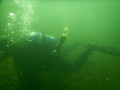 IMG 0552