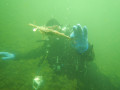 IMG 0553