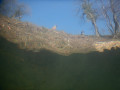 IMG 0584