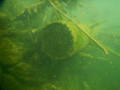 IMG 0587 2