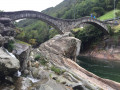 IMG 7978