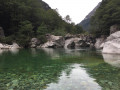 IMG 7995
