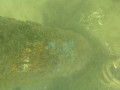 P02 P1060868