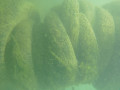P03 P1060874
