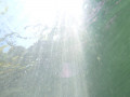 P05 P1060613