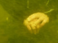 P1050930