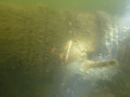 P1060374