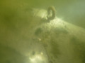 P1060387