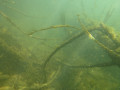 P1060483