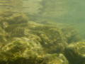 P1060528