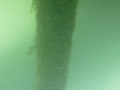 P39 P1060696