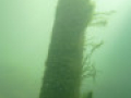 P40 P1060699