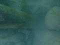 P69 P1060807