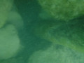 P71 P1060818