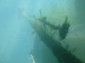P78 P1060849