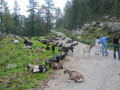 Tauchweekend Tessin 057