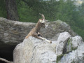 Tauchweekend Tessin 060