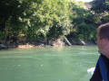 img 8624