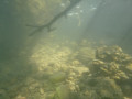 p1040793