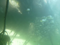 p1040802