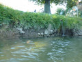 p1040848
