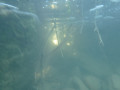p1040881