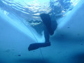 IMG 0170