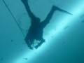 IMG 0186