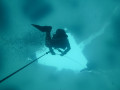 IMG 0203
