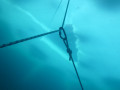 IMG 0219