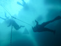 IMG 0223