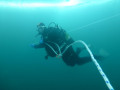 IMG 0239
