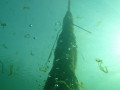 P1070017