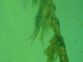 P1070027