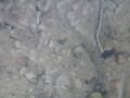 p1080542